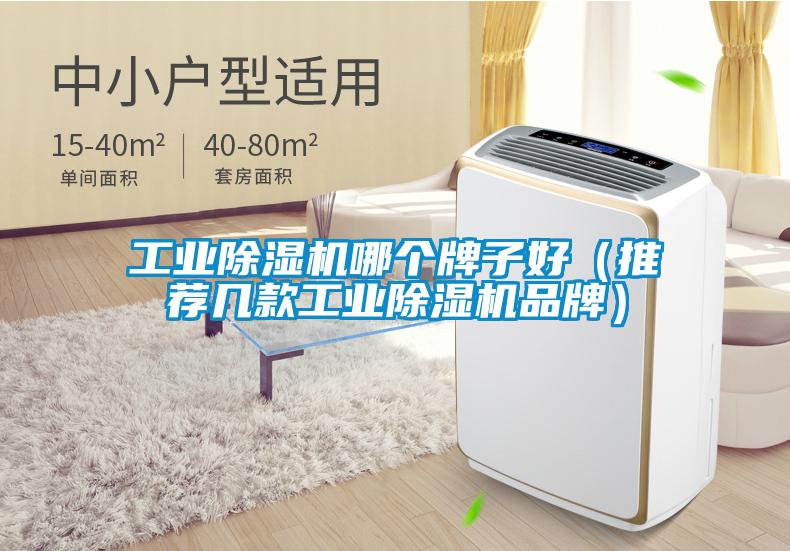 工業除濕機哪個牌子好（推薦幾款工業除濕機品牌）