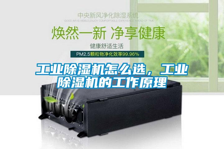 工業(yè)除濕機(jī)怎么選，工業(yè)除濕機(jī)的工作原理