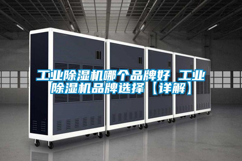工業(yè)除濕機(jī)哪個品牌好 工業(yè)除濕機(jī)品牌選擇【詳解】