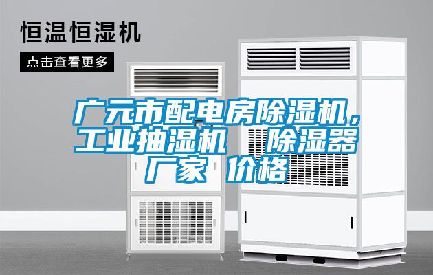 廣元市配電房除濕機，工業抽濕機  除濕器廠家 價格
