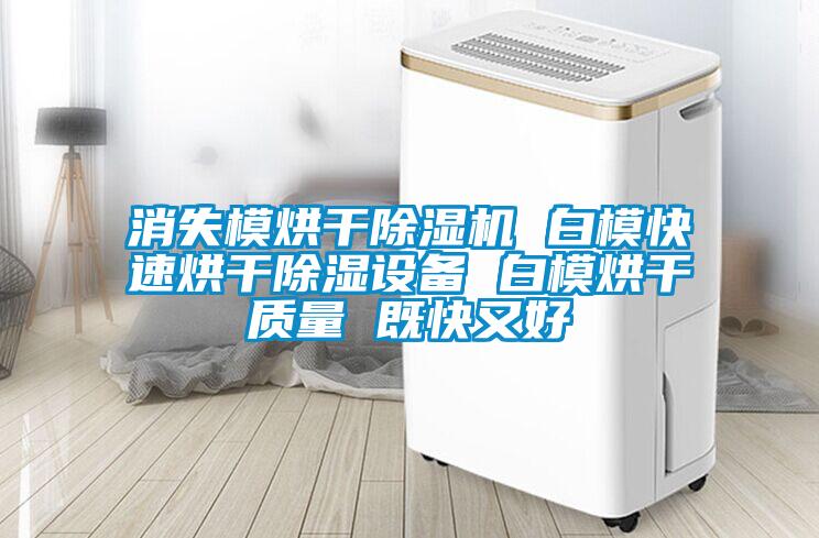 消失模烘干除濕機 白模快速烘干除濕設備 白模烘干質量 既快又好