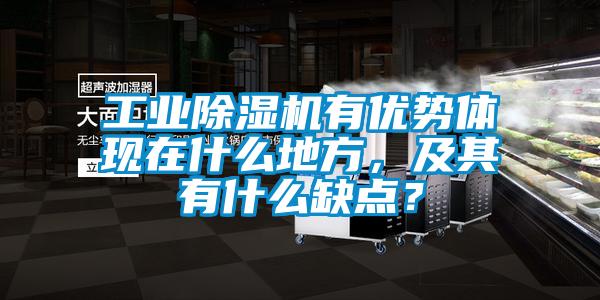 工業除濕機有優勢體現在什么地方，及其有什么缺點？