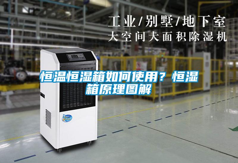 恒溫恒濕箱如何使用？恒濕箱原理圖解