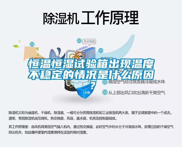 恒溫恒濕試驗箱出現(xiàn)溫度不穩(wěn)定的情況是什么原因？