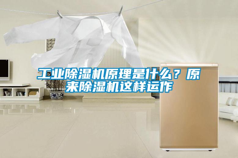 工業除濕機原理是什么？原來除濕機這樣運作