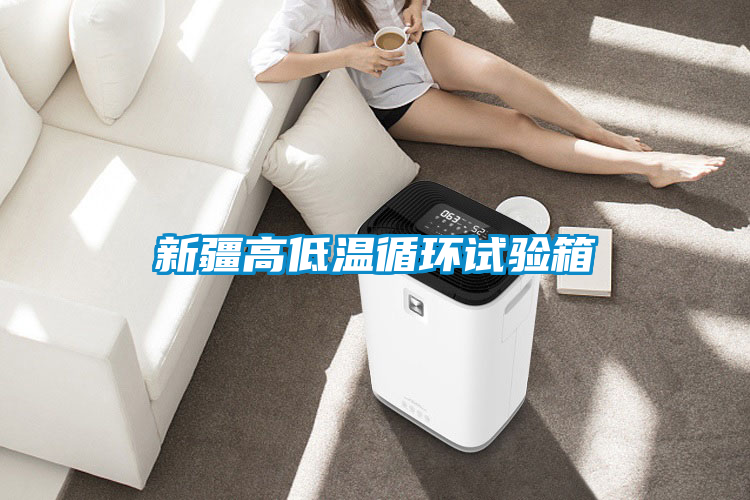新疆高低溫循環試驗箱