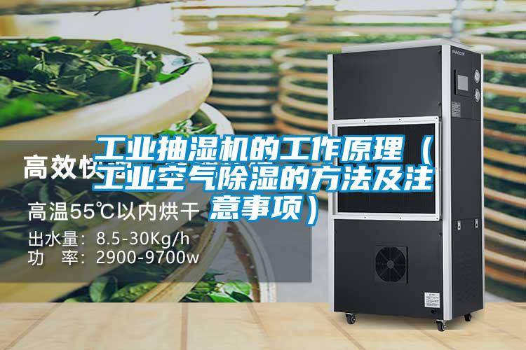 工業(yè)抽濕機(jī)的工作原理（工業(yè)空氣除濕的方法及注意事項(xiàng)）