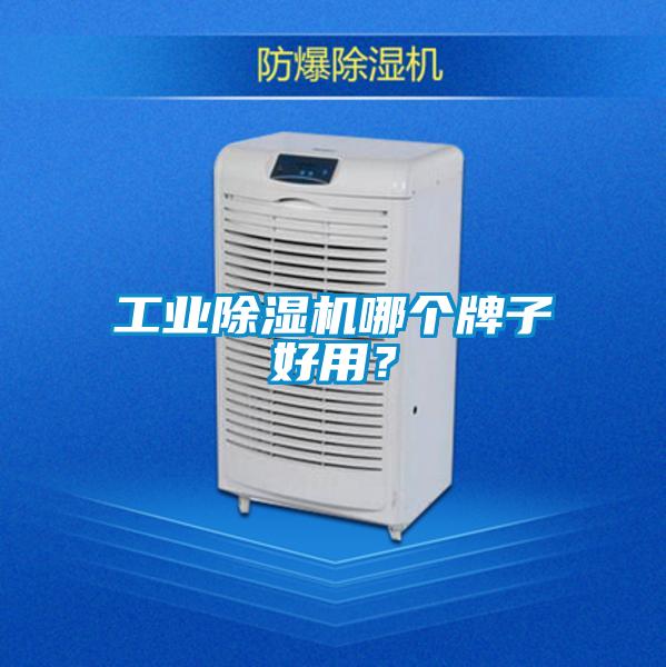 工業除濕機哪個牌子好用？