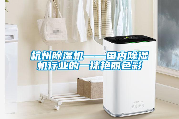 杭州除濕機——國內除濕機行業(yè)的一抹艷麗色彩