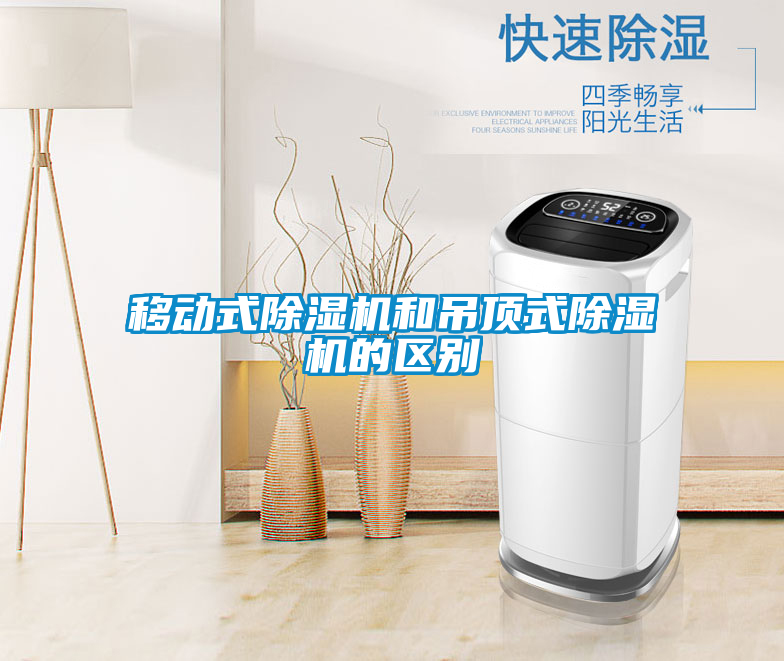 移動式除濕機和吊頂式除濕機的區別