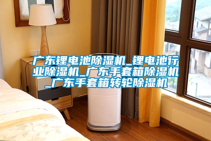 廣東鋰電池除濕機_鋰電池行業除濕機_廣東手套箱除濕機_廣東手套箱轉輪除濕機