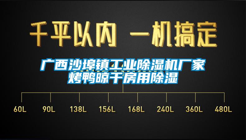 廣西沙埠鎮工業除濕機廠家烤鴨晾干房用除濕