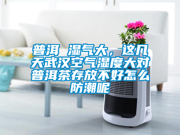 普洱 濕氣大，這幾天武漢空氣濕度大對普洱茶存放不好怎么防潮呢
