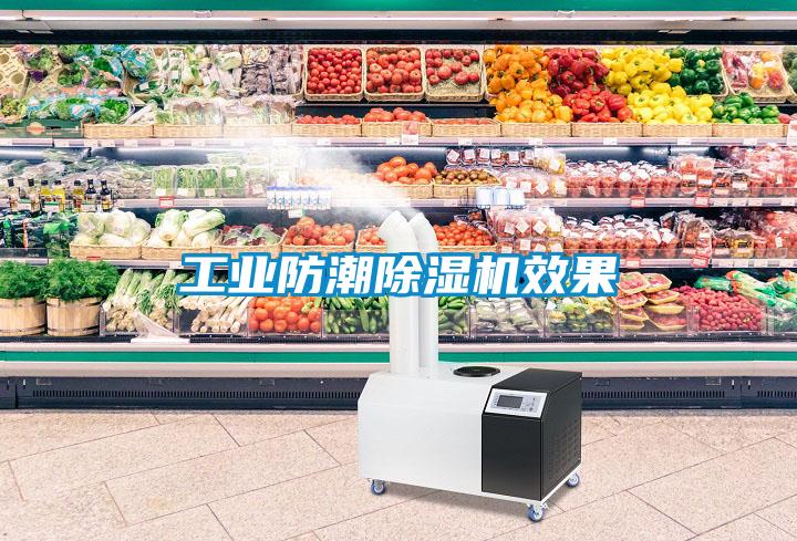 工業防潮除濕機效果