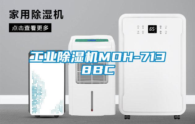 工業(yè)除濕機(jī)MOH-7138BC