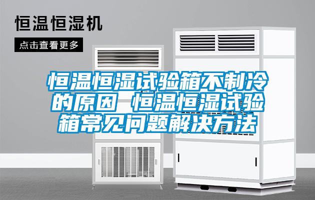 恒溫恒濕試驗箱不制冷的原因 恒溫恒濕試驗箱常見問題解決方法