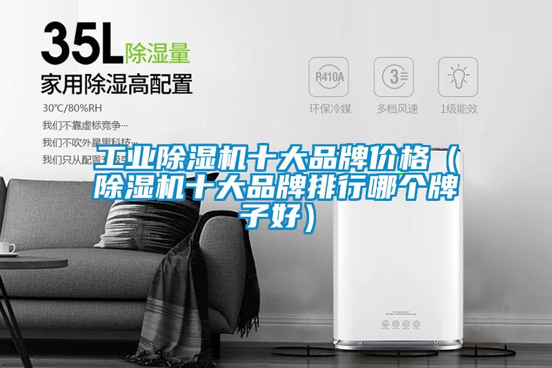 工業(yè)除濕機(jī)十大品牌價格（除濕機(jī)十大品牌排行哪個牌子好）