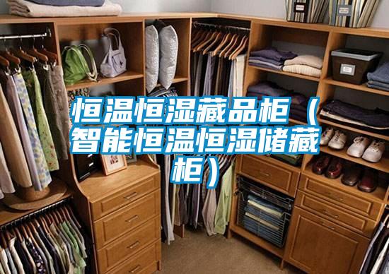 恒溫恒濕藏品柜（智能恒溫恒濕儲藏柜）