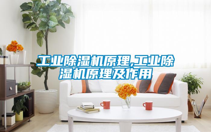 工業除濕機原理,工業除濕機原理及作用