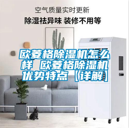 歐菱格除濕機怎么樣 歐菱格除濕機優勢特點【詳解】