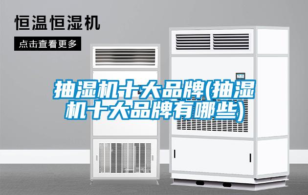 抽濕機(jī)十大品牌(抽濕機(jī)十大品牌有哪些)