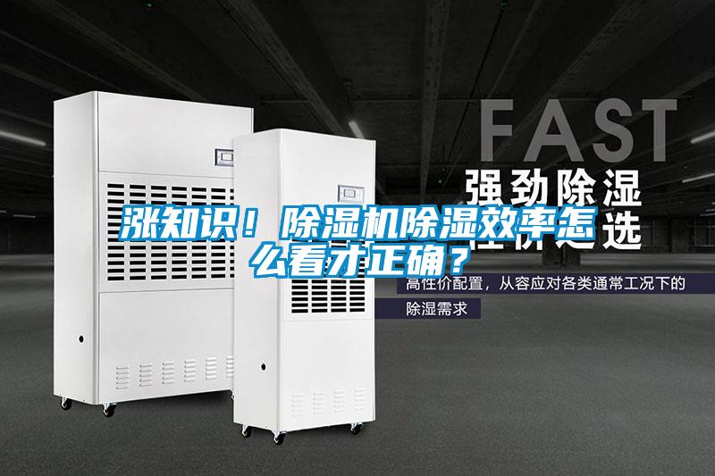 漲知識！除濕機除濕效率怎么看才正確？