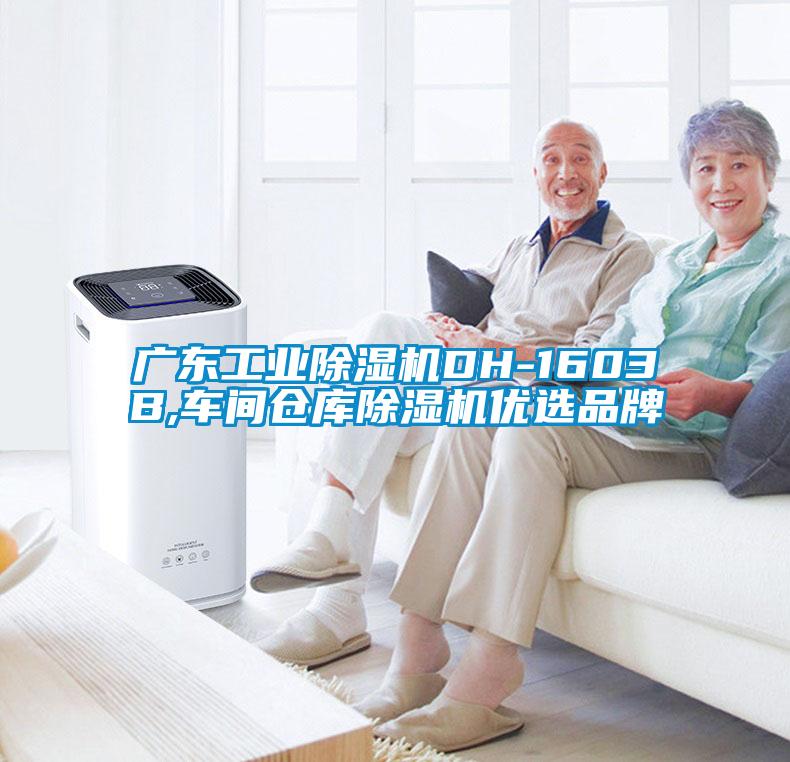 廣東工業(yè)除濕機(jī)DH-1603B,車間倉庫除濕機(jī)優(yōu)選品牌