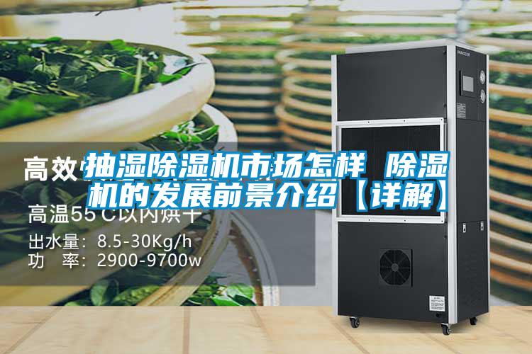 抽濕除濕機市場怎樣 除濕機的發展前景介紹【詳解】
