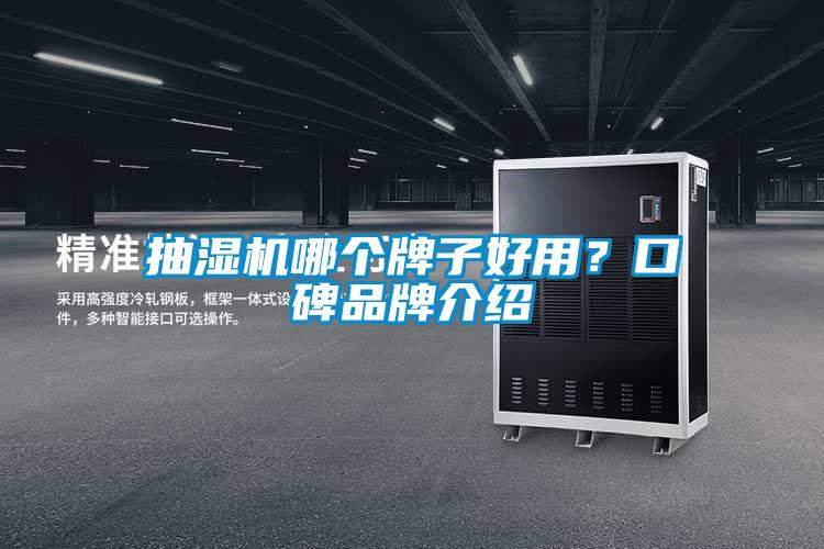 抽濕機哪個牌子好用？口碑品牌介紹
