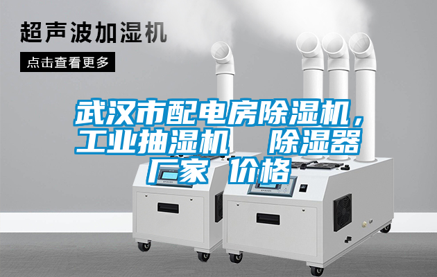 武漢市配電房除濕機，工業抽濕機  除濕器廠家 價格