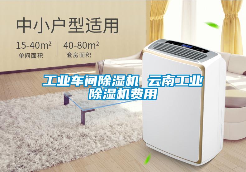 工業車間除濕機 云南工業除濕機費用