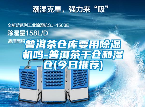 普洱茶倉庫要用除濕機嗎-普洱茶干倉和濕倉(今日推薦)