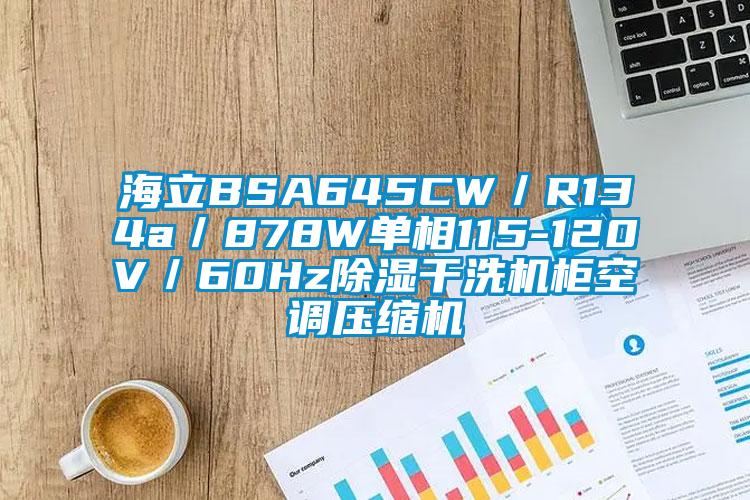 海立BSA645CW／R134a／878W單相115-120V／60Hz除濕干洗機柜空調壓縮機