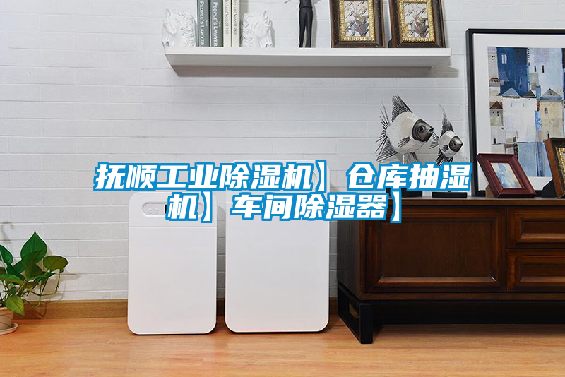 撫順工業除濕機】倉庫抽濕機】車間除濕器】