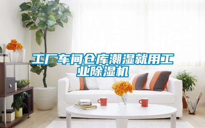 工廠車間倉庫潮濕就用工業除濕機