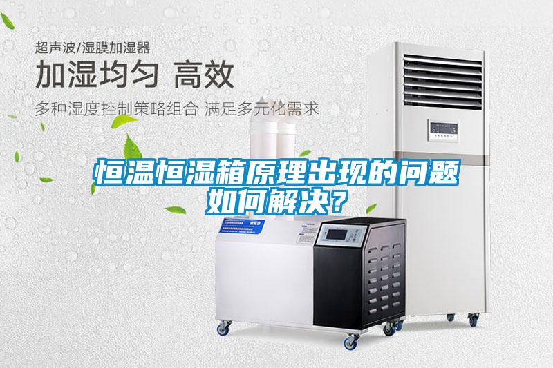 恒溫恒濕箱原理出現的問題如何解決？