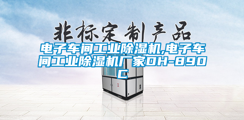 電子車間工業除濕機,電子車間工業除濕機廠家DH-890C