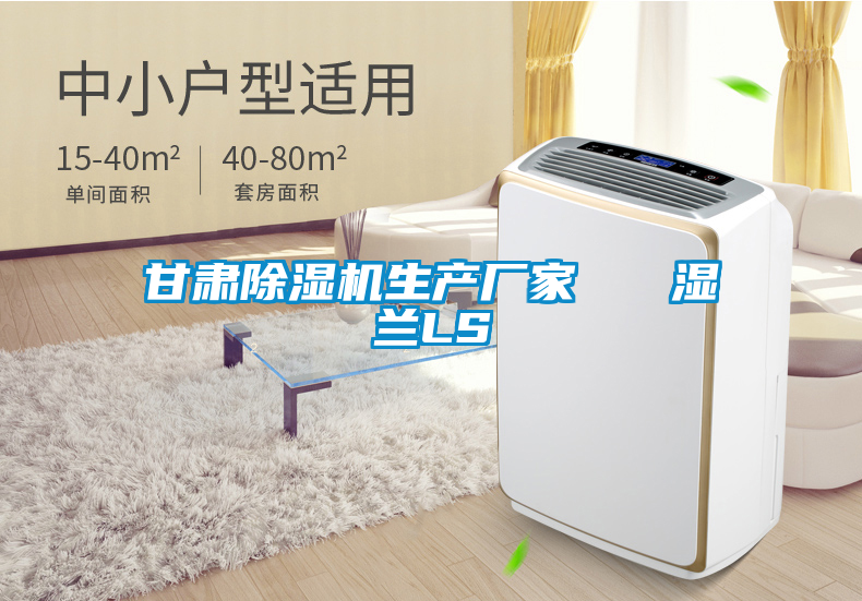 甘肅除濕機(jī)生產(chǎn)廠家   濕蘭LS