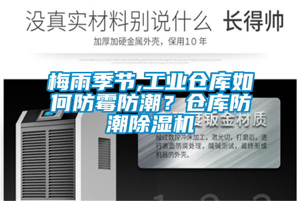 梅雨季節,工業倉庫如何防霉防潮？倉庫防潮除濕機