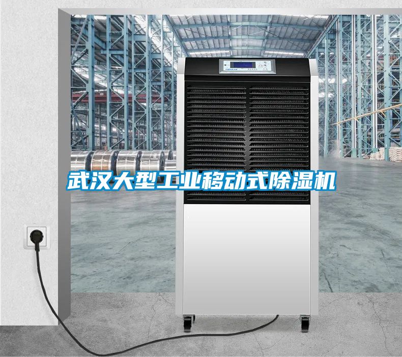 武漢大型工業移動式除濕機