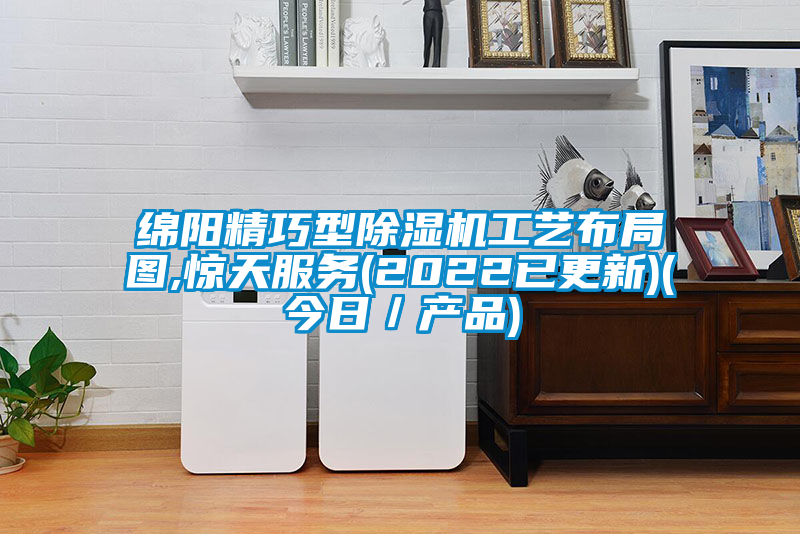 綿陽(yáng)精巧型除濕機(jī)工藝布局圖,驚天服務(wù)(2022已更新)(今日／產(chǎn)品)