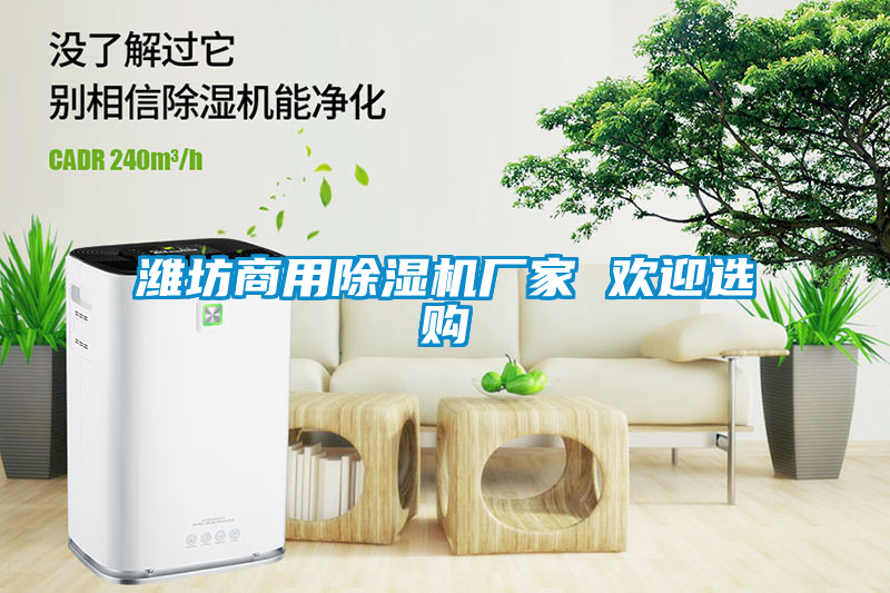 濰坊商用除濕機廠家 歡迎選購
