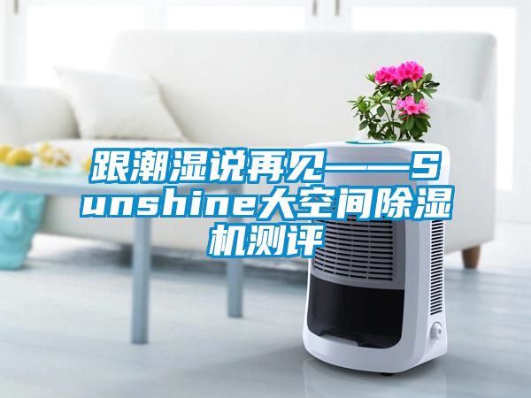 跟潮濕說再見——Sunshine大空間除濕機(jī)測(cè)評(píng)
