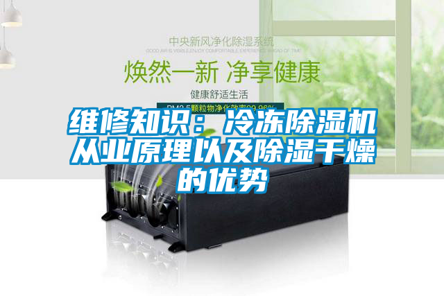維修知識：冷凍除濕機從業原理以及除濕干燥的優勢