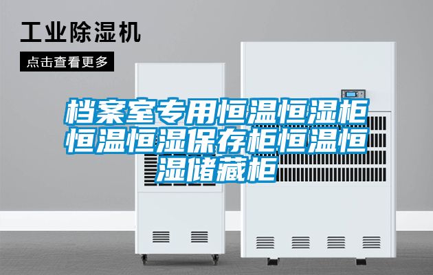 檔案室專(zhuān)用恒溫恒濕柜恒溫恒濕保存柜恒溫恒濕儲(chǔ)藏柜