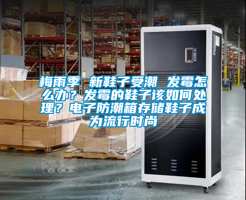 梅雨季 新鞋子受潮 發霉怎么辦？發霉的鞋子該如何處理？電子防潮箱存儲鞋子成為流行時尚
