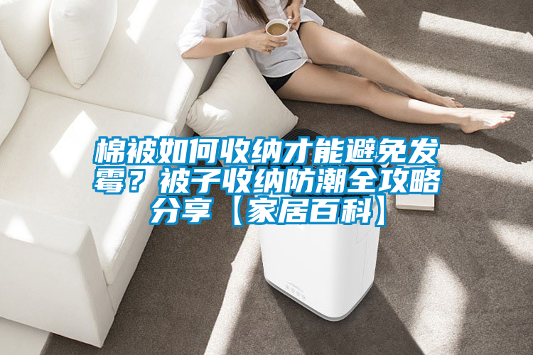 棉被如何收納才能避免發霉？被子收納防潮全攻略分享【家居百科】