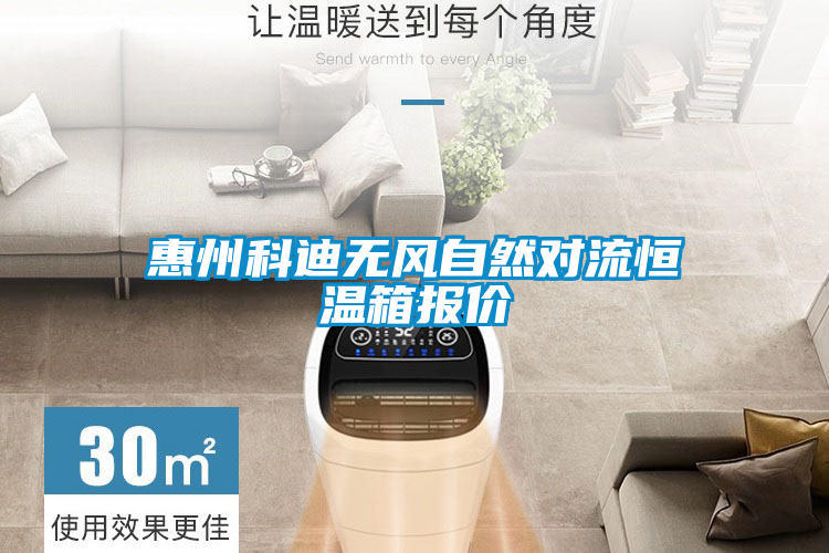 惠州科迪無風(fēng)自然對流恒溫箱報價