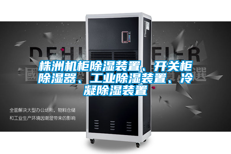 株洲機(jī)柜除濕裝置、開關(guān)柜除濕器、工業(yè)除濕裝置、冷凝除濕裝置