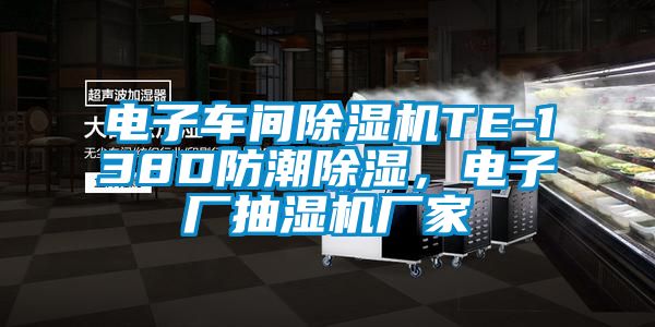 電子車間除濕機TE-138D防潮除濕，電子廠抽濕機廠家